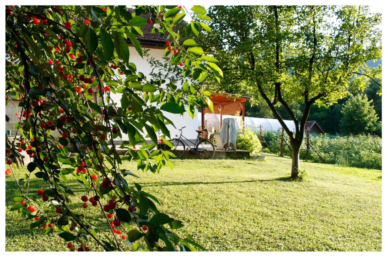 Holiday Residence Buric 비소코 외부 사진